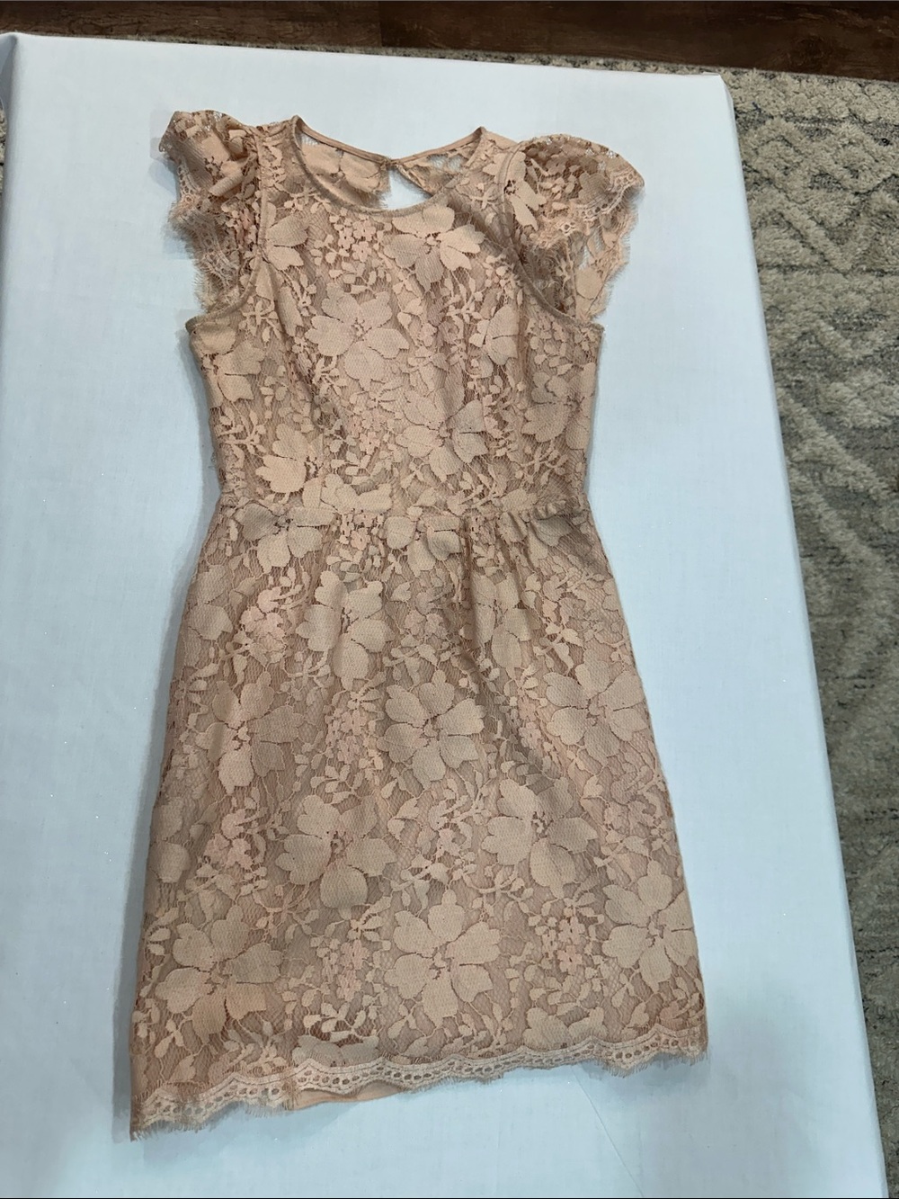 BCBGeneration Blush Floral Lace Cap-Sleeve Dress